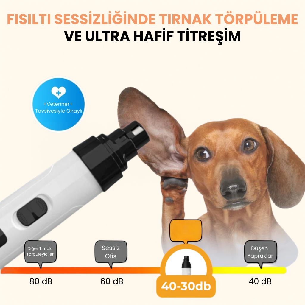 Patileo® PatiTörpü