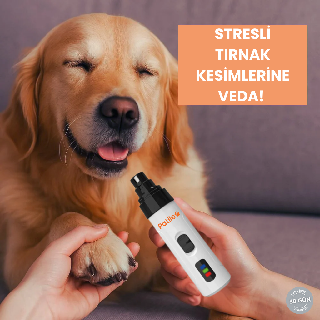 Patileo® PatiTörpü