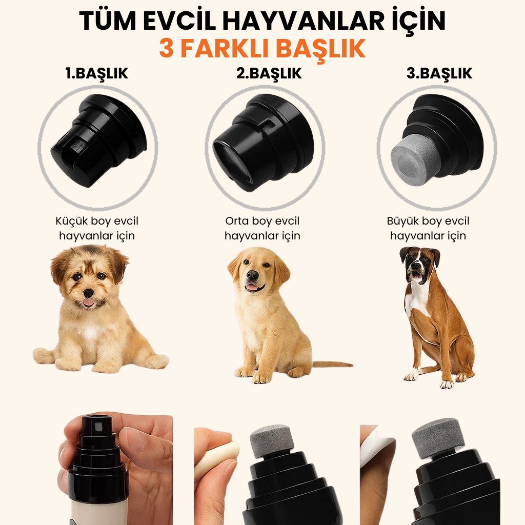 Patileo® PatiTörpü